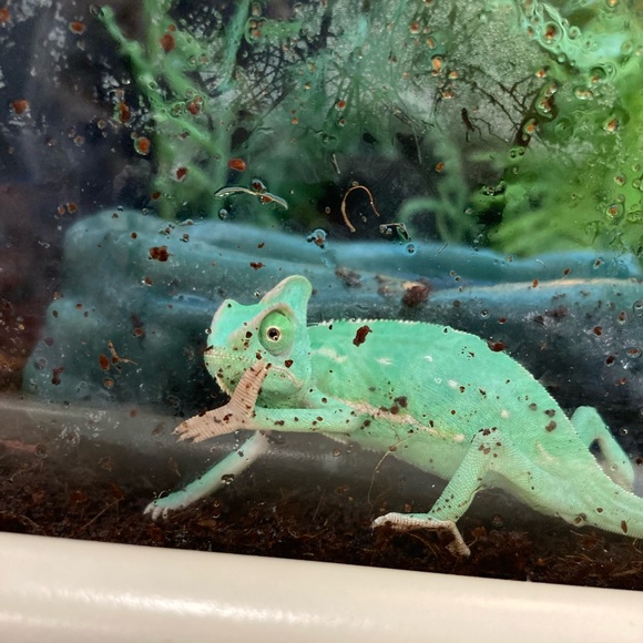 Meet your Posher, Jessica - Picture 6 of 12